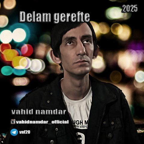 دانلود آهنگ وحید نامدار به نام دلم گرفته
